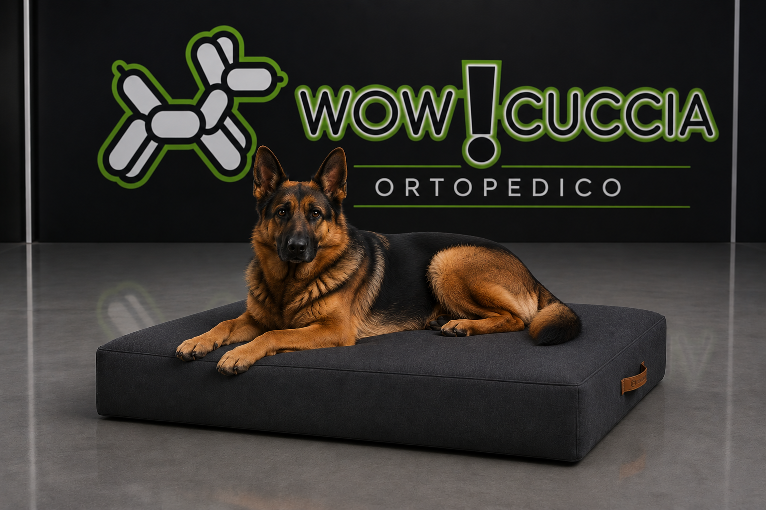 WOW!CUCCIA