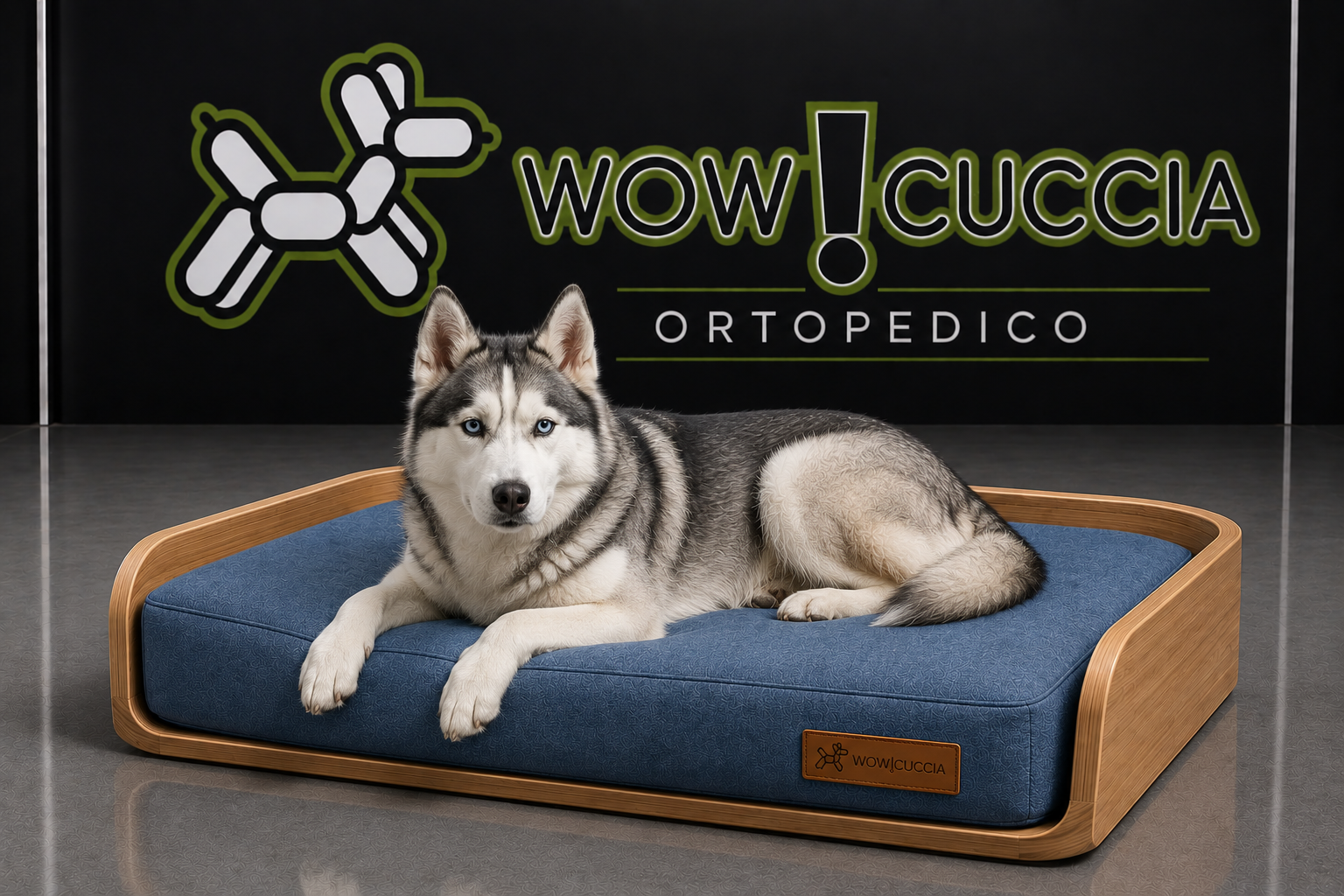 WOW!CUCCIA