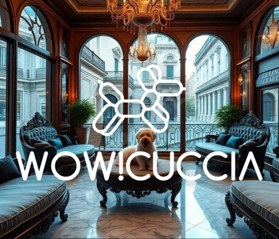 WOWDESIGN