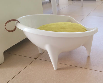 WOW!CUCCIA FUTUR 'AMICHETTO' 50cm BIANCO SOLO TELAIO