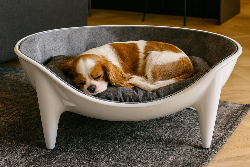 CUCCIA OVAL 50x80 COMPLETO CUSCINO NUVOLA