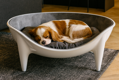 CUCCIA OVAL 50x80 COMPLETO CUSCINO NUVOLA