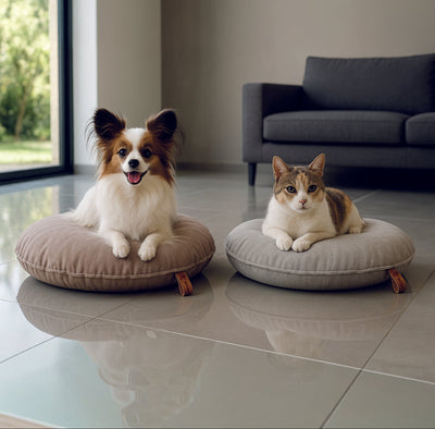 AMICHETTO SOLO CUSCINO 'NUVOLA' D40