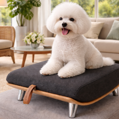 WOW!CUCCIA LEGNO 'QUART' D58 MINI COMPLETO COMFORT LAMINATO ROVERE