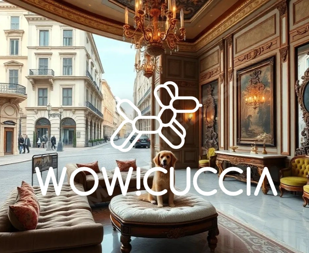 WOWDESIGN
