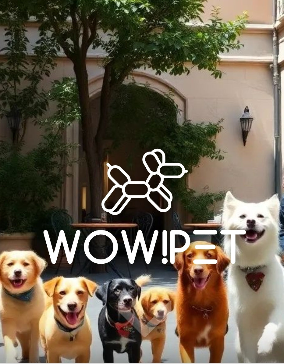 WOWDESIGN