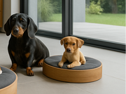 WOW!CUCCIA LEGNO DIMORA D40 COMPLETO COMFORT IN LEGNO ROVERE