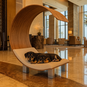 WOW!CUCCIA LEGNO 'DAYBED'  D100 COMPLETO COMFORT LAMINATO ROVERE