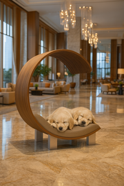 WOW!CUCCIA LEGNO 'DAYBED'  D58 LONG COMPLETO COMFORT LAMINATO ROVERE