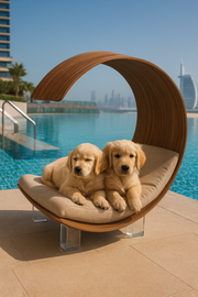 WOW!CUCCIA LEGNO 'DAYBED'  D79  COMPLETO COMFORT LAMINATO NOCE