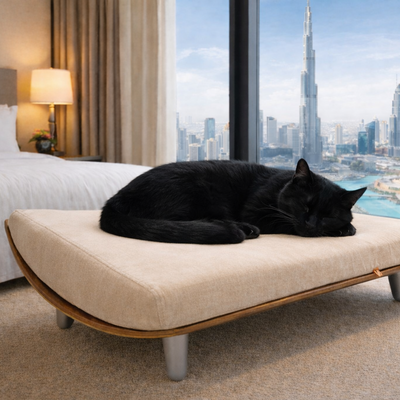 WOW!CUCCIA LEGNO 'QUART' D58 LONG COMPLETO COMFORT LAMINATO ROVERE