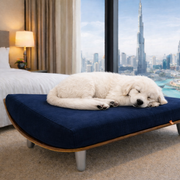WOW!CUCCIA LEGNO 'QUART' D58 LONG COMPLETO COMFORT ROVERE