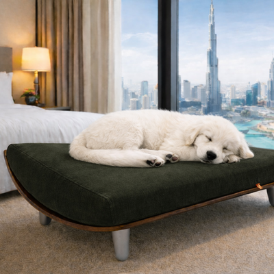 WOW!CUCCIA LEGNO 'QUART' D58 LONG COMPLETO COMFORT LAMINATO NOCE